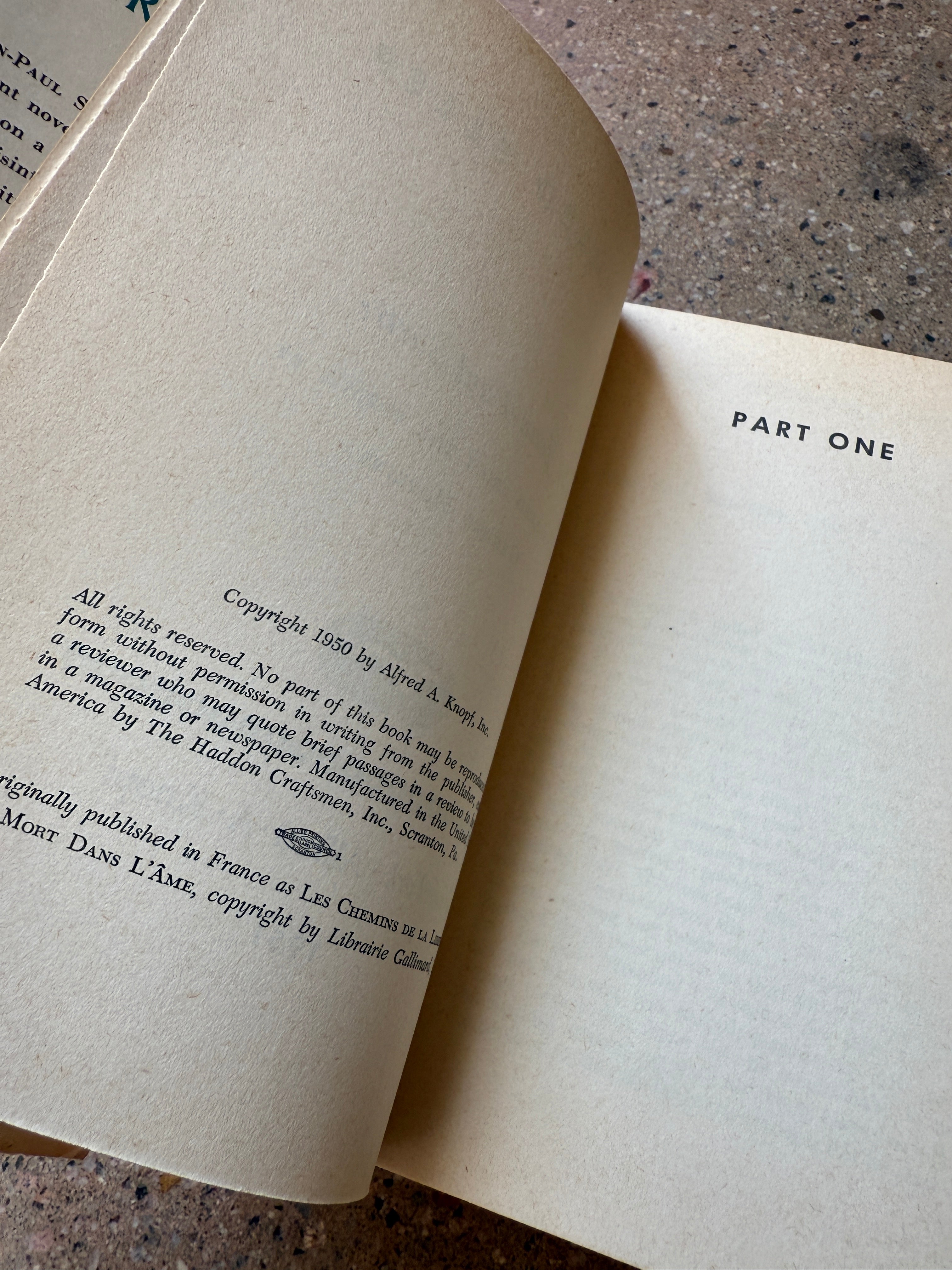 Troubled Sleep by Jean-Paul Sartre