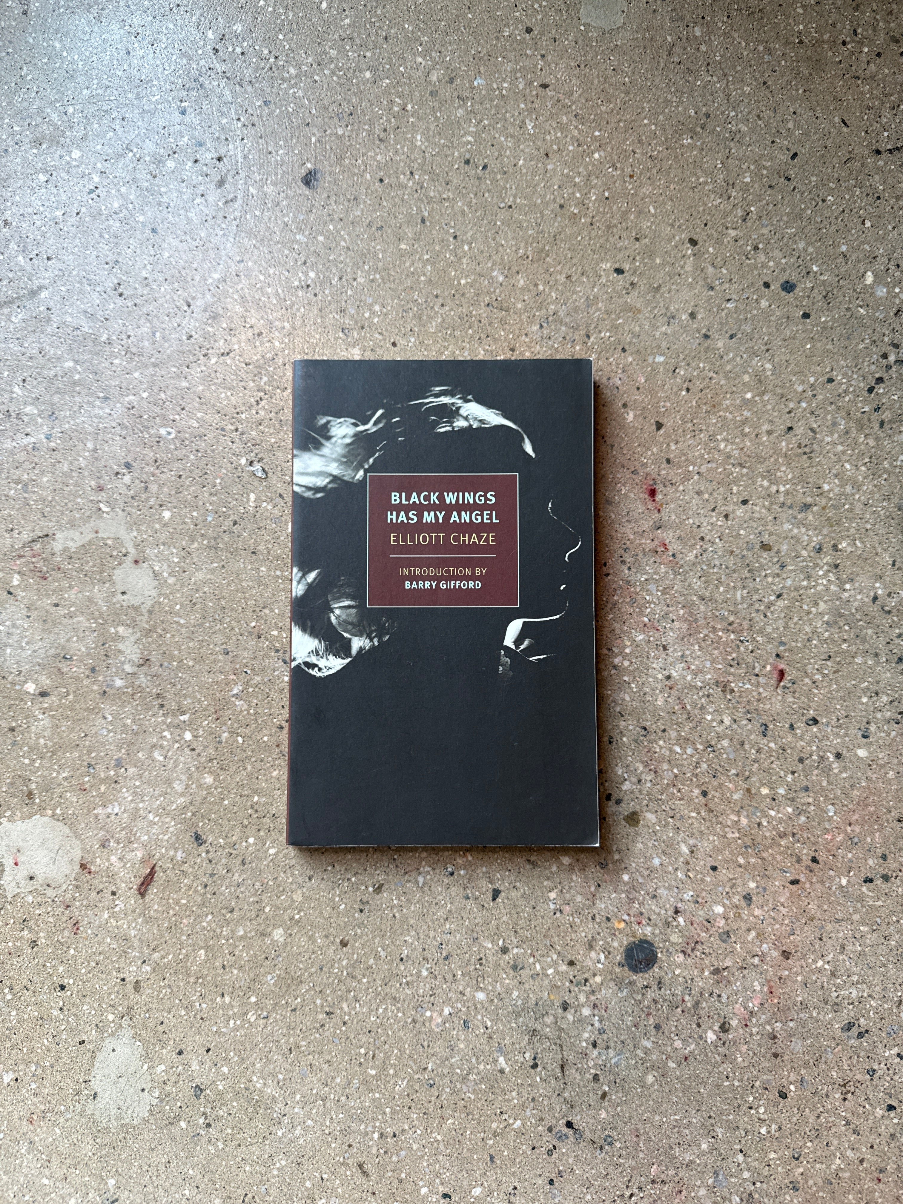 Black Wings Has My Angel by Elliott Chaze (Clash Trade)