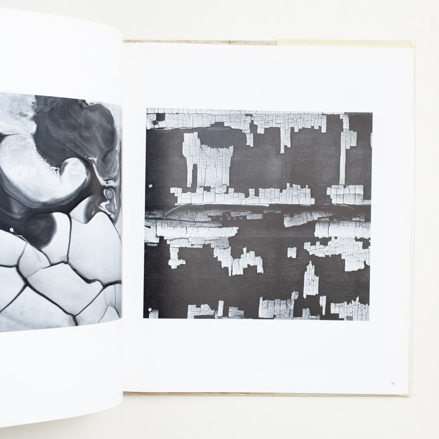 Photographs from Five Decades by Brett Weston