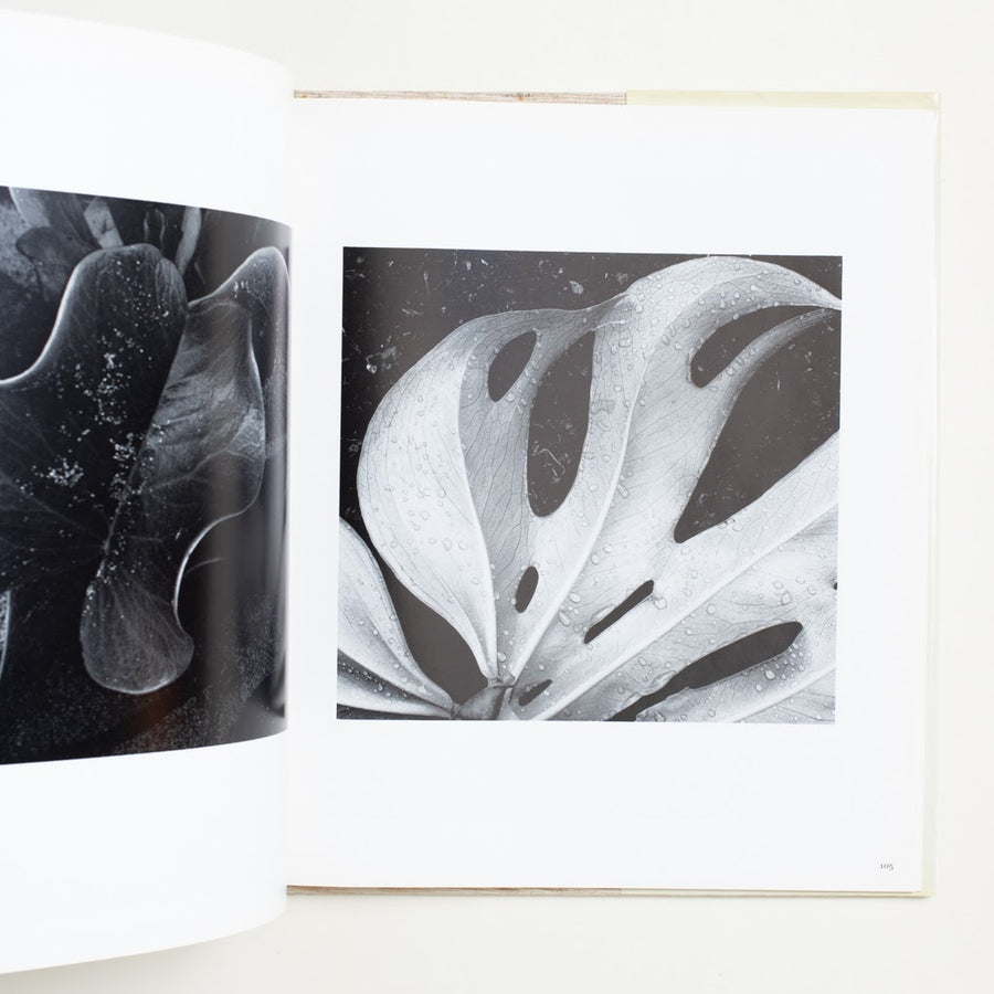 Photographs from Five Decades by Brett Weston